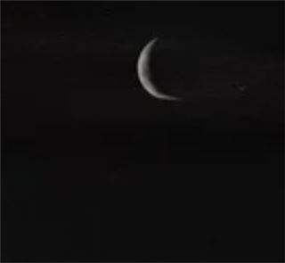 купить аккаунт Age of apes